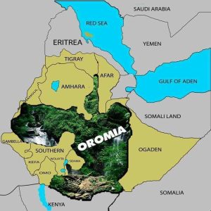 Thiết Kế Web Tiếng Oromo