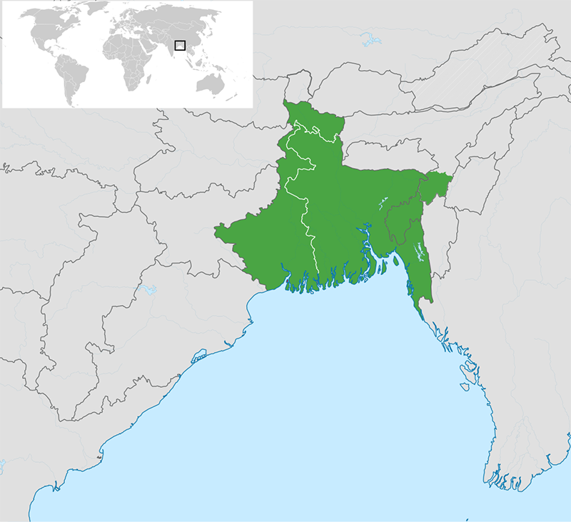 Thiết Kế Web Tiếng Bengal